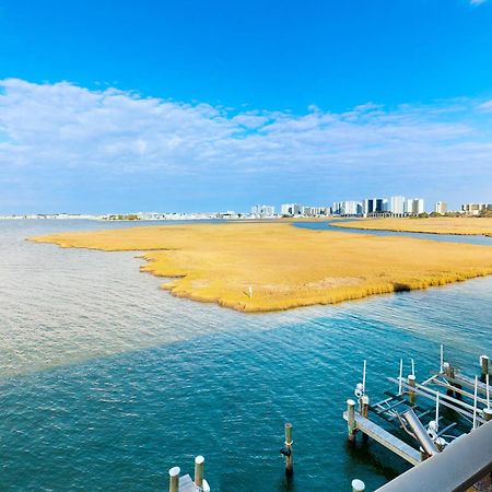 Pintail Point Condos 오션 시티 객실 사진